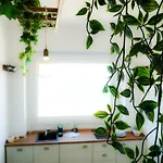 Seafront Holidays & Workstays - Mare & Sole