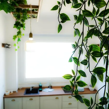 Seafront Holidays & Workstays - Mare & Sole